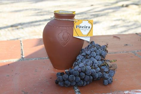Amareleza Vinhos